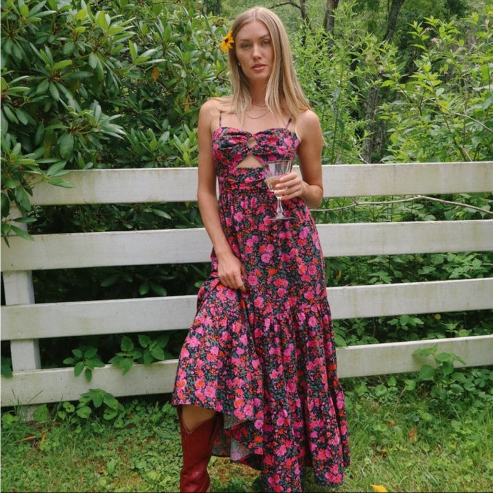 BNWT Vestique Thorns and Roses Dress
